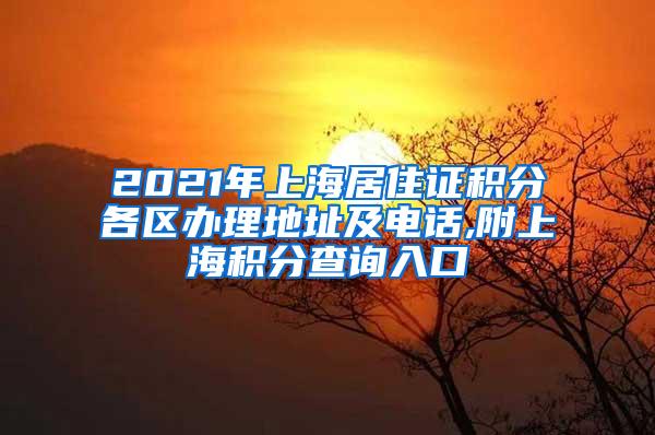 2021年上海居住证积分各区办理地址及电话,附上海积分查询入口