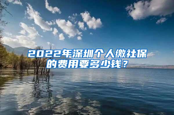 2022年深圳个人缴社保的费用要多少钱？