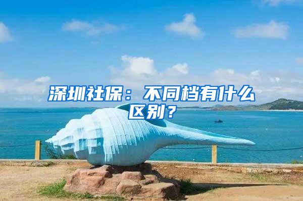 深圳社保：不同档有什么区别？