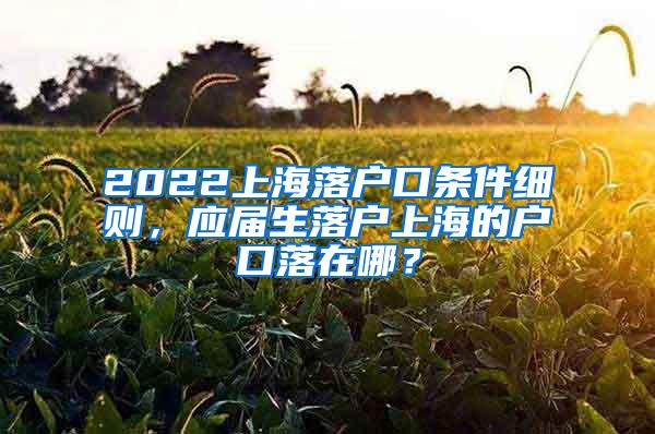 2022上海落户口条件细则，应届生落户上海的户口落在哪？