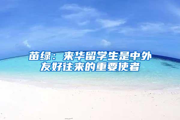 苗绿：来华留学生是中外友好往来的重要使者
