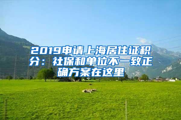 2019申请上海居住证积分：社保和单位不一致正确方案在这里
