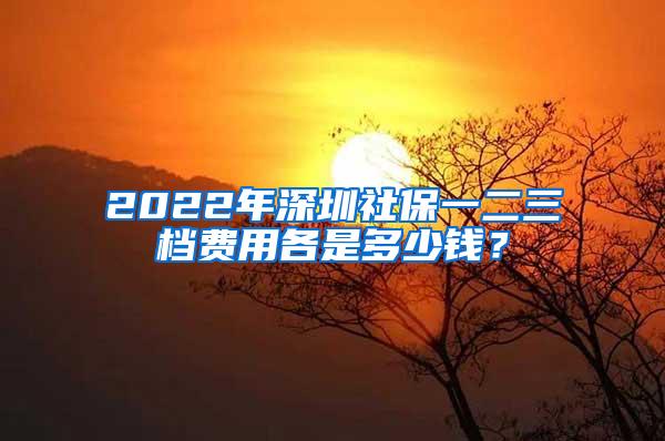 2022年深圳社保一二三档费用各是多少钱？