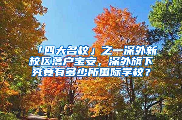 「四大名校」之一深外新校区落户宝安，深外旗下究竟有多少所国际学校？