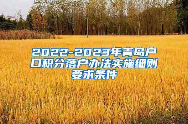 2022-2023年青岛户口积分落户办法实施细则要求条件