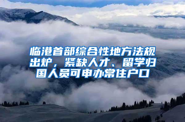 临港首部综合性地方法规出炉，紧缺人才、留学归国人员可申办常住户口