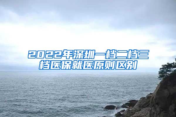 2022年深圳一档二档三档医保就医原则区别