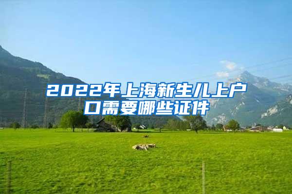 2022年上海新生儿上户口需要哪些证件