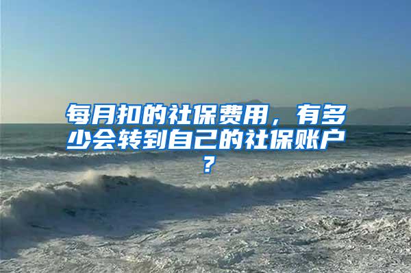 每月扣的社保费用，有多少会转到自己的社保账户？