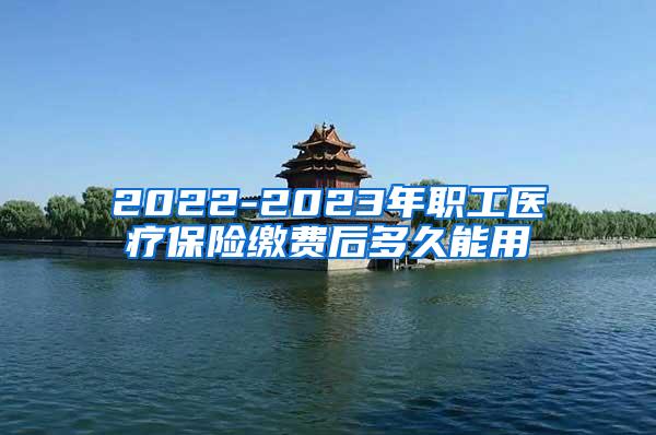 2022-2023年职工医疗保险缴费后多久能用