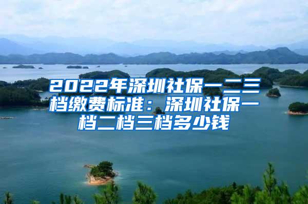 2022年深圳社保一二三档缴费标准：深圳社保一档二档三档多少钱