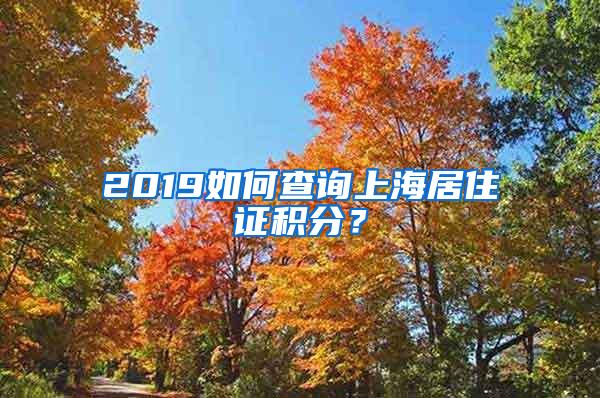 2019如何查询上海居住证积分？