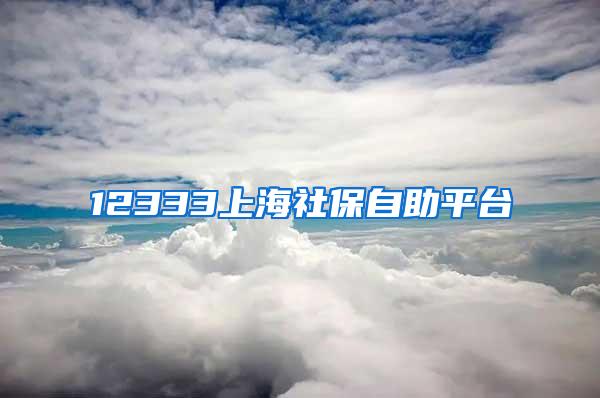 12333上海社保自助平台