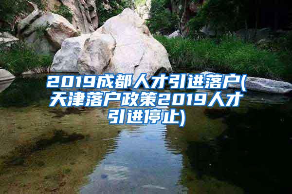 2019成都人才引进落户(天津落户政策2019人才引进停止)