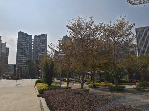 香港人在深圳入户