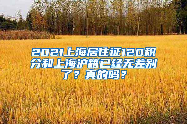 2021上海居住证120积分和上海沪籍已经无差别了？真的吗？