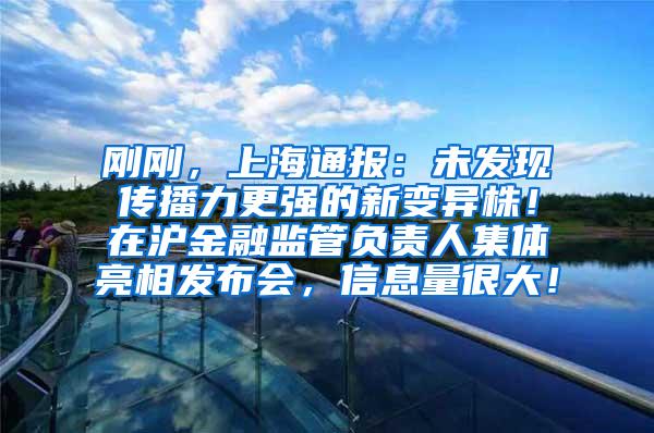 刚刚，上海通报：未发现传播力更强的新变异株！在沪金融监管负责人集体亮相发布会，信息量很大！