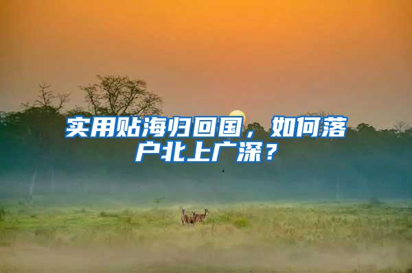 实用贴海归回国，如何落户北上广深？