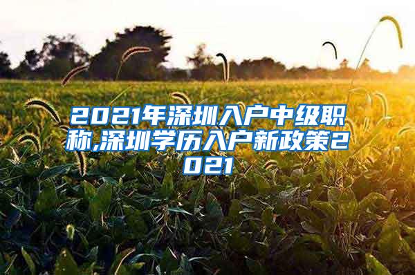 2021年深圳入户中级职称,深圳学历入户新政策2021