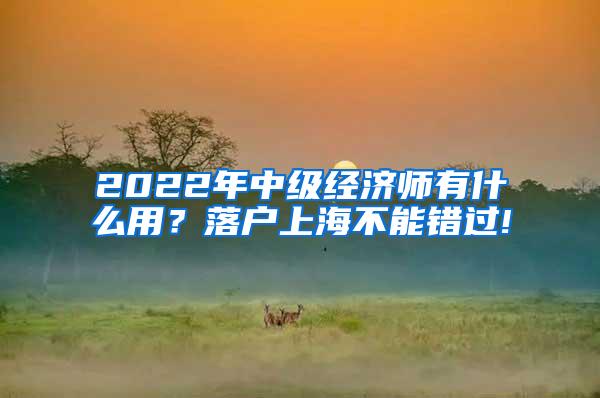 2022年中级经济师有什么用？落户上海不能错过!
