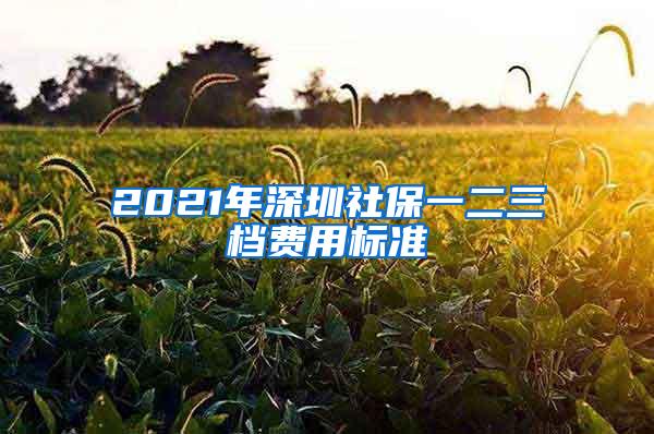 2021年深圳社保一二三档费用标准