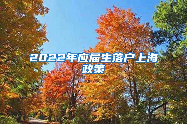 2022年应届生落户上海政策