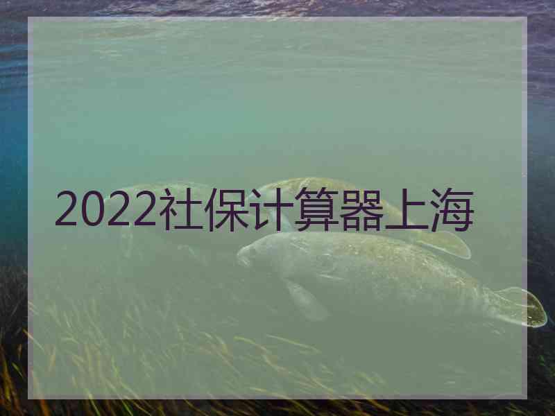 2022社保计算器上海