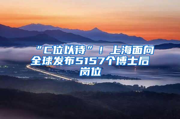 “C位以待”！上海面向全球发布5157个博士后岗位