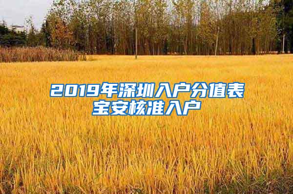 2019年深圳入户分值表宝安核准入户