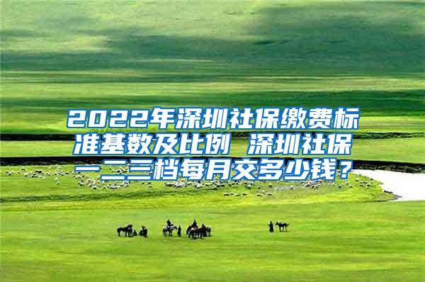 2022年深圳社保缴费标准基数及比例 深圳社保一二三档每月交多少钱？