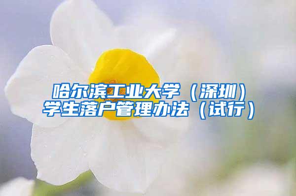 哈尔滨工业大学（深圳）学生落户管理办法（试行）