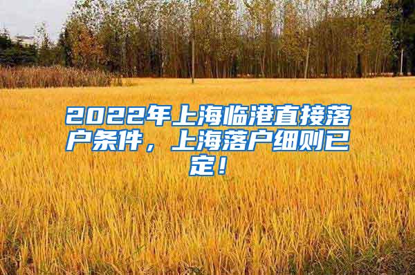 2022年上海临港直接落户条件，上海落户细则已定！