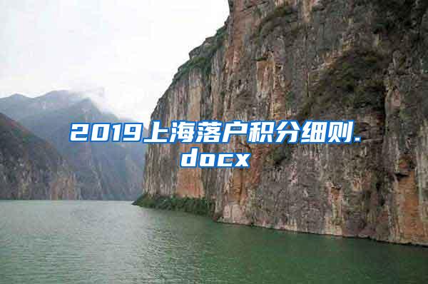 2019上海落户积分细则.docx