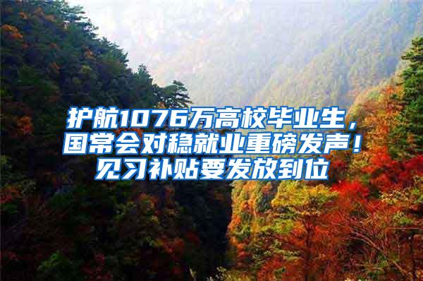 护航1076万高校毕业生，国常会对稳就业重磅发声！见习补贴要发放到位