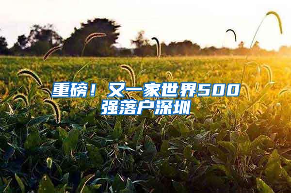 重磅！又一家世界500强落户深圳