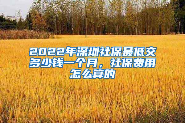 2022年深圳社保最低交多少钱一个月，社保费用怎么算的