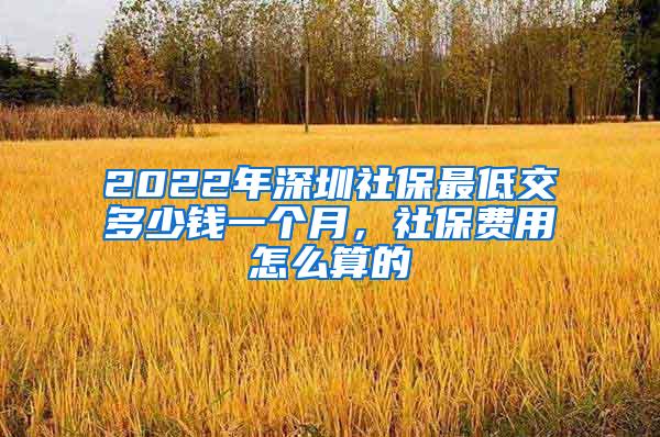 2022年深圳社保最低交多少钱一个月，社保费用怎么算的