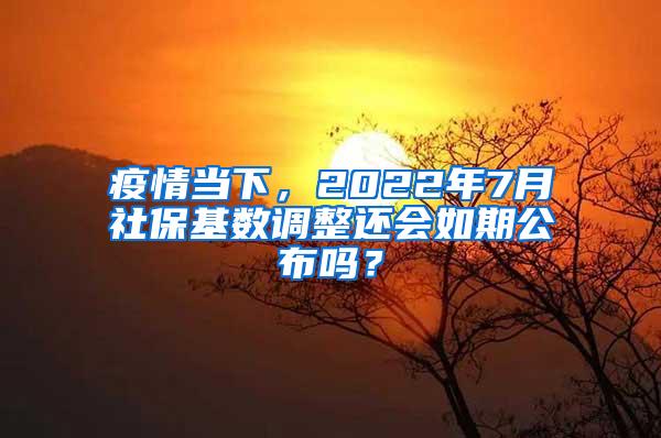 疫情当下，2022年7月社保基数调整还会如期公布吗？