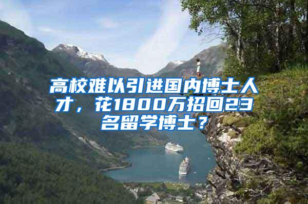 高校难以引进国内博士人才，花1800万招回23名留学博士？