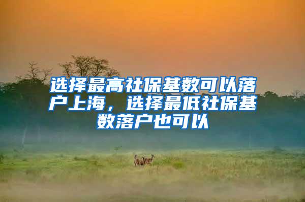 选择最高社保基数可以落户上海，选择最低社保基数落户也可以