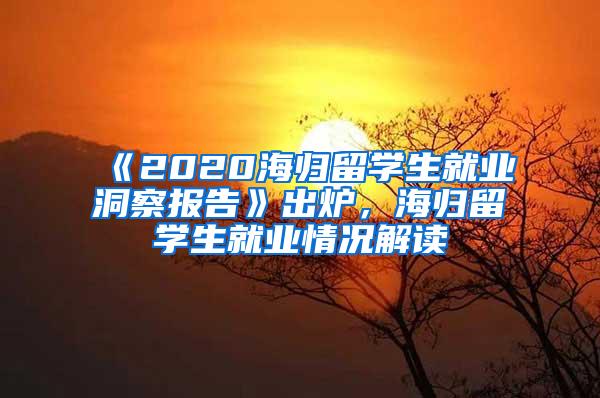 《2020海归留学生就业洞察报告》出炉，海归留学生就业情况解读