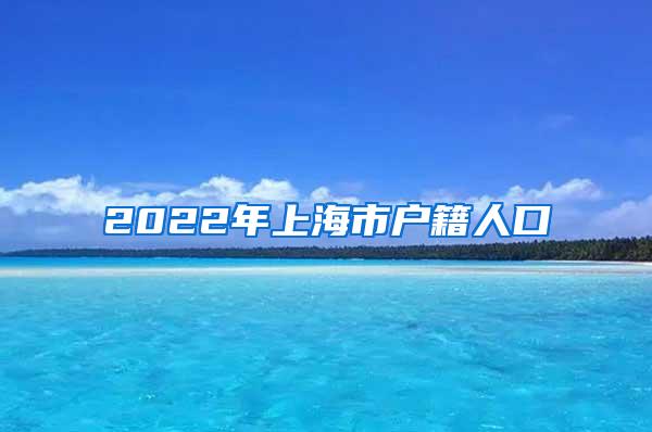 2022年上海市户籍人口