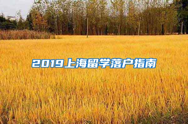 2019上海留学落户指南