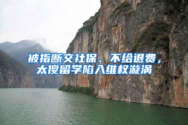 被指断交社保、不给退费，太傻留学陷入维权漩涡