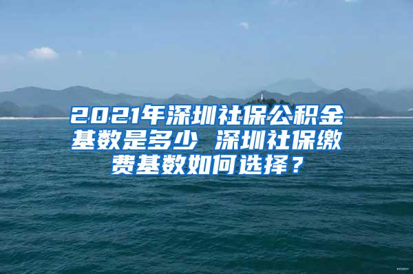2021年深圳社保公积金基数是多少 深圳社保缴费基数如何选择？