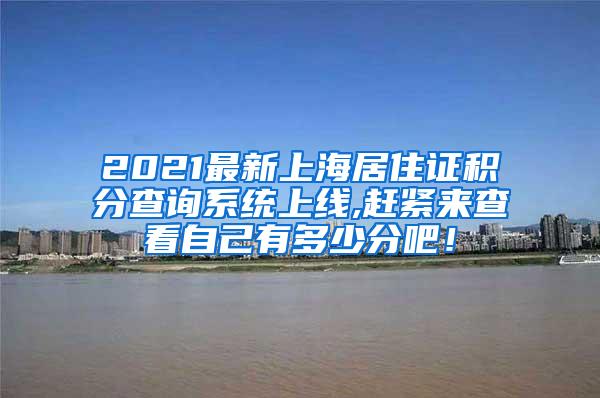 2021最新上海居住证积分查询系统上线,赶紧来查看自己有多少分吧！