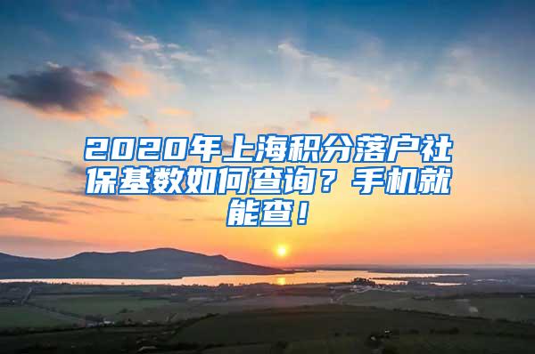 2020年上海积分落户社保基数如何查询？手机就能查！