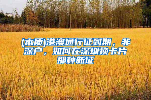 (本质)港澳通行证到期，非深户，如何在深圳换卡片那种新证