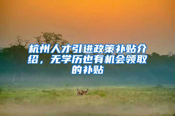 杭州人才引进政策补贴介绍，无学历也有机会领取的补贴