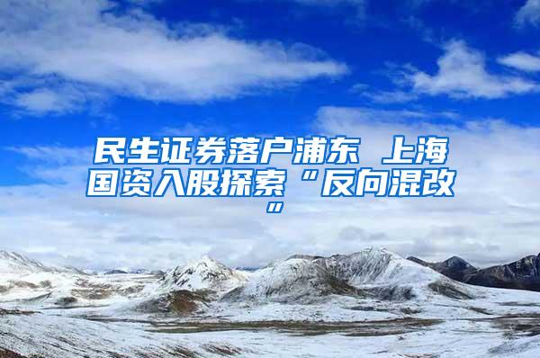 民生证券落户浦东 上海国资入股探索“反向混改”